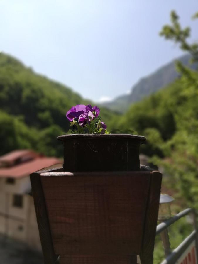 Дом Бакалски-Кмета Narechenski Bani Luaran gambar